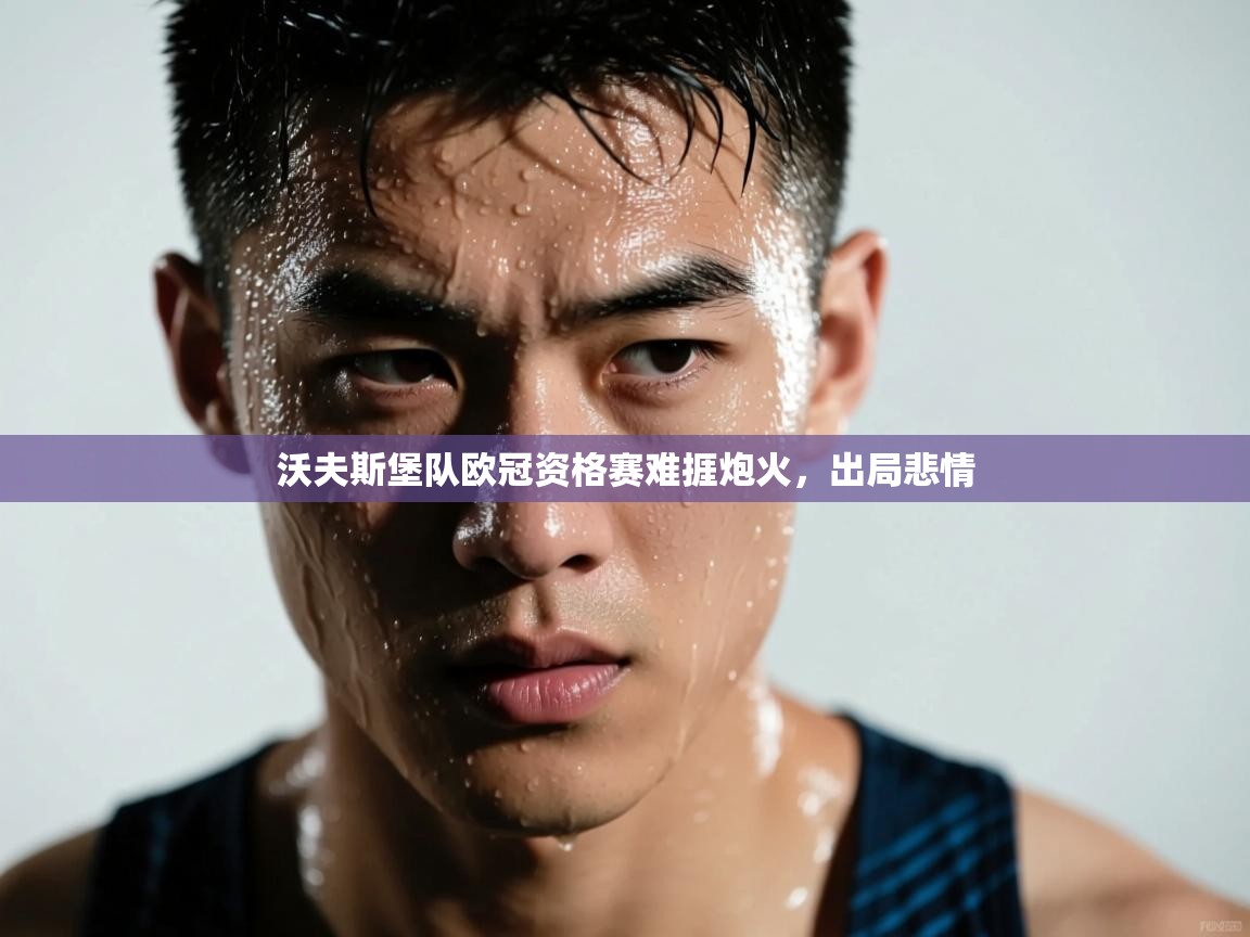 沃夫斯堡队欧冠资格赛难捱炮火,出局悲情 第1张