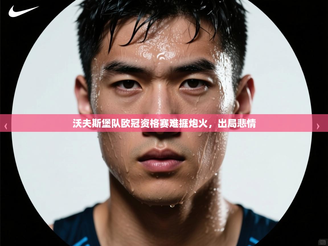 沃夫斯堡队欧冠资格赛难捱炮火,出局悲情 第2张