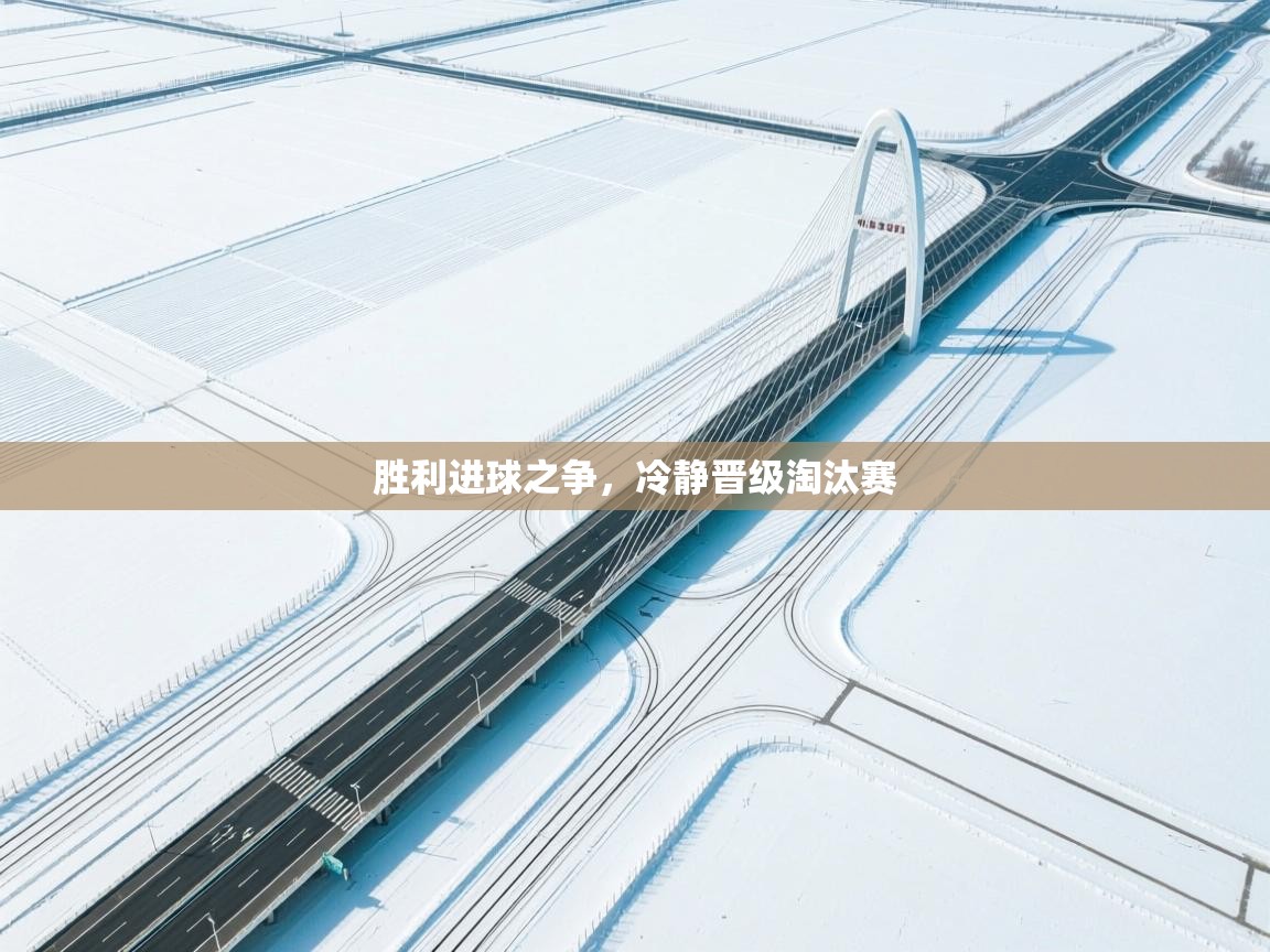 胜利进球之争,冷静晋级淘汰赛 第2张