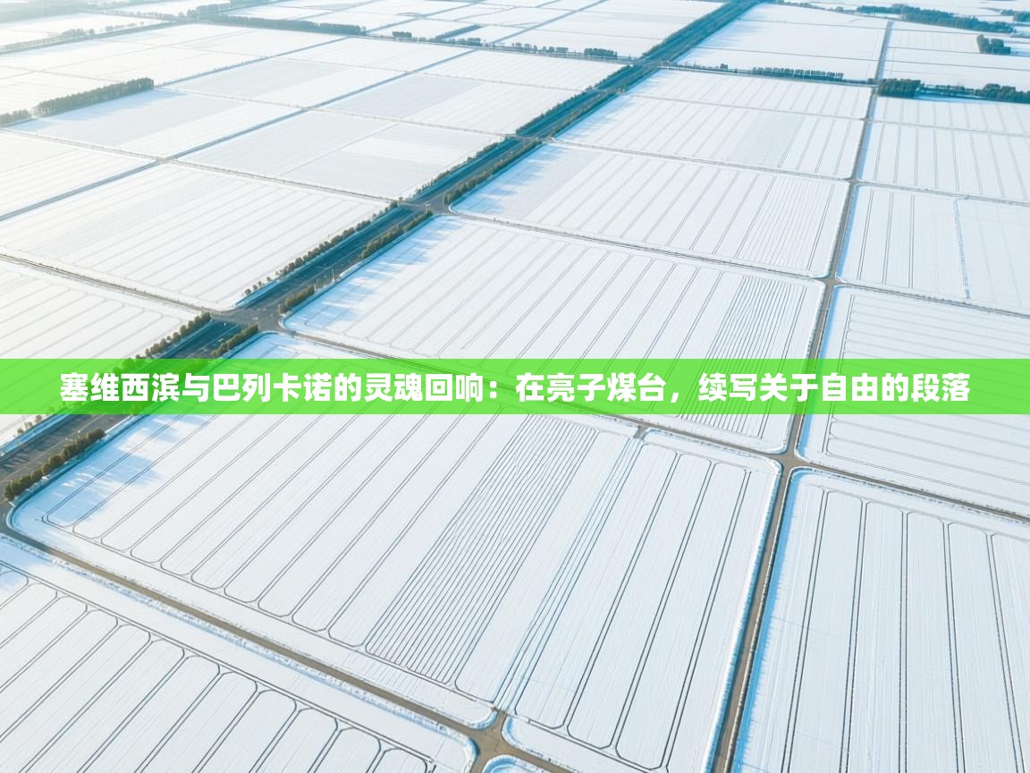 塞维西滨与巴列卡诺的灵魂回响：在亮子煤台，续写关于自由的段落  第2张