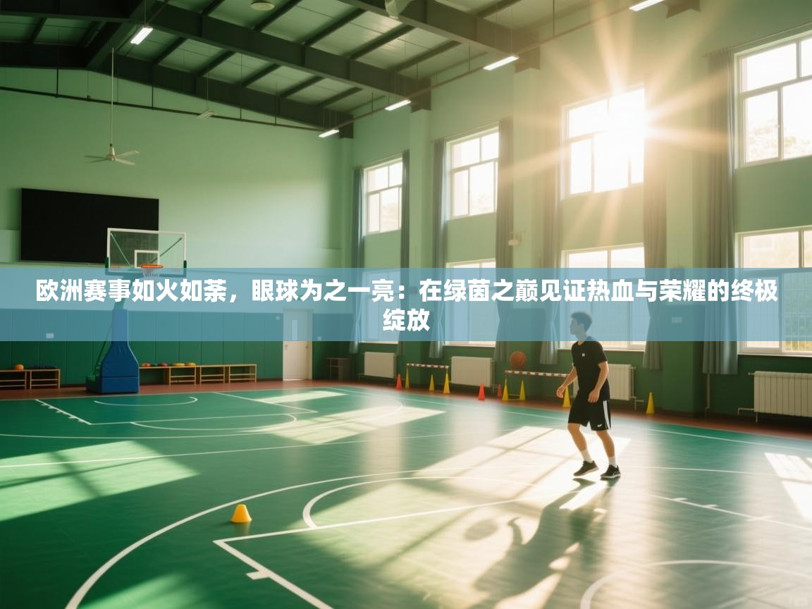 欧洲赛事如火如荼，眼球为之一亮：在绿茵之巅见证热血与荣耀的终极绽放  第1张