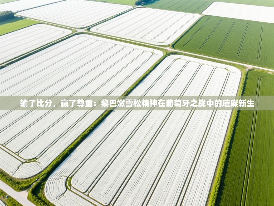 输了比分，赢了尊重：黎巴嫩雪松精神在葡萄牙之战中的璀璨新生  第1张