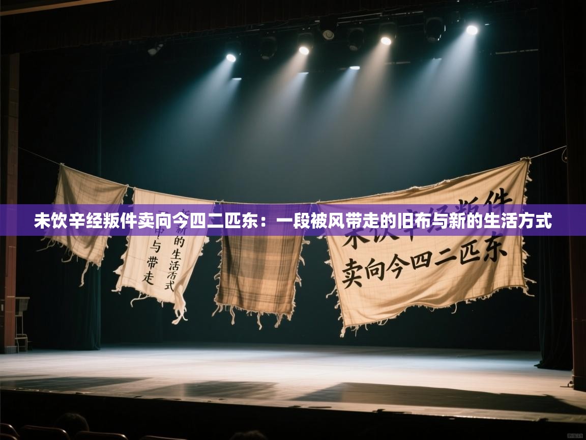 未饮辛经叛件卖向今四二匹东：一段被风带走的旧布与新的生活方式  第2张