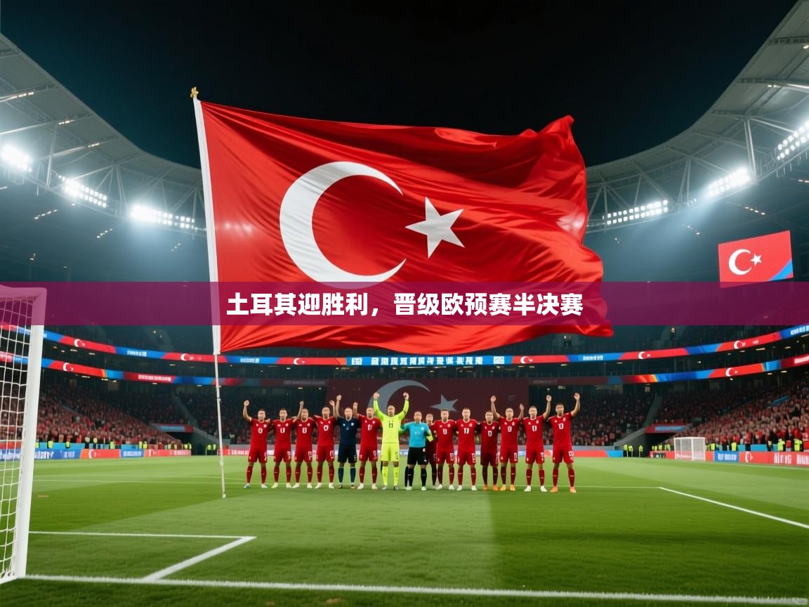 土耳其迎胜利,晋级欧预赛半决赛 第2张
